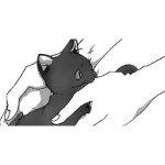 天枢的头像-附魔星